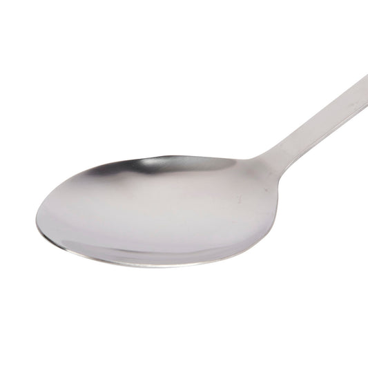 Stainless Steel Cooking Spoon